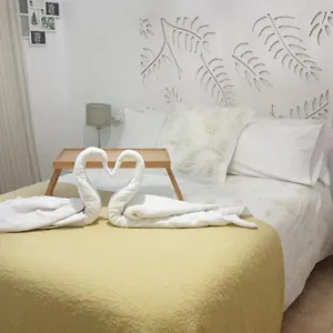 Flamencos Córdoba